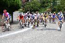 gal/Saison 2011/Course_Pass_25_Juin_2011_Fameck/_thb_IMG_4369.JPG